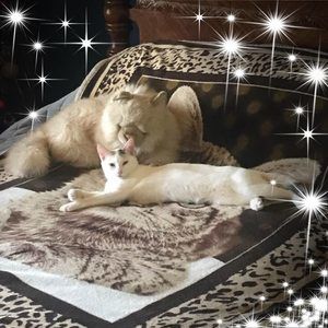 Meet your Posher, Joann